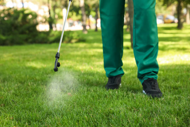 Best Flea Control Services  in Coatesville, PA