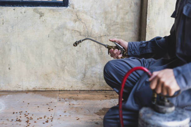 Best Best Pest Control Companies  in Coatesville, PA