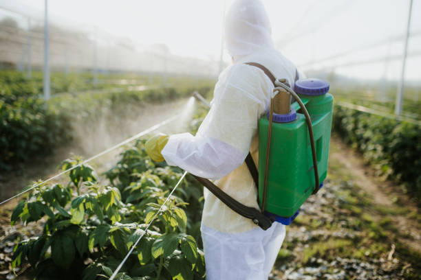 Best Insect Control  in Coatesville, PA